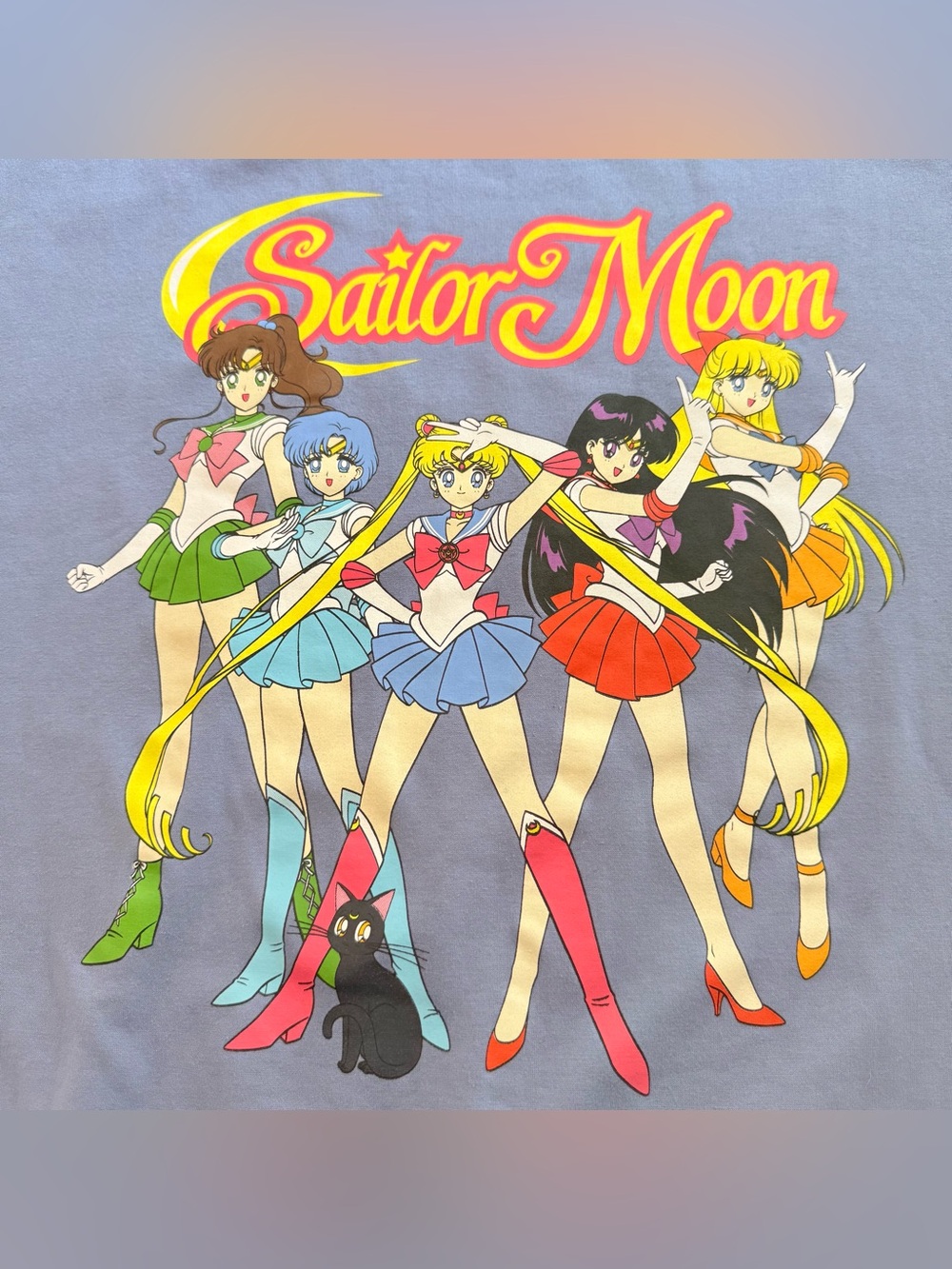 Sailor Moon Sweatshirt Womens S Blue Sailor Scouts Anime Graphic Crewneck Luna